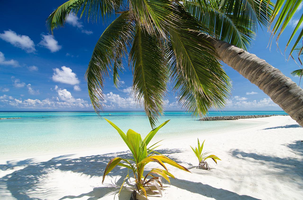 Summer Island Maldives Resort Reethi Rah Esterno foto