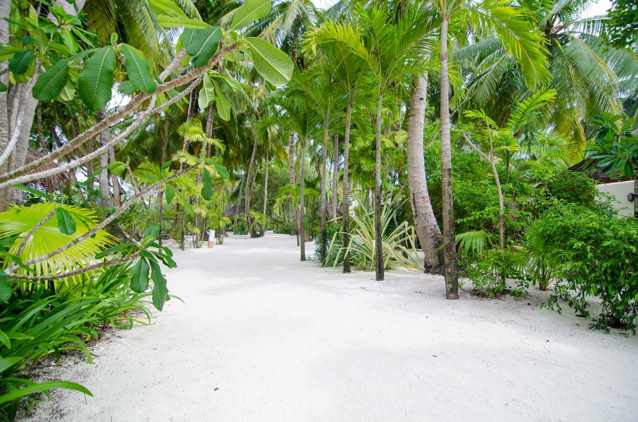 Summer Island Maldives Resort Reethi Rah Esterno foto